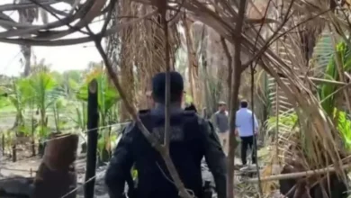 Primo explica como se perdeu das crianças desaparecidas