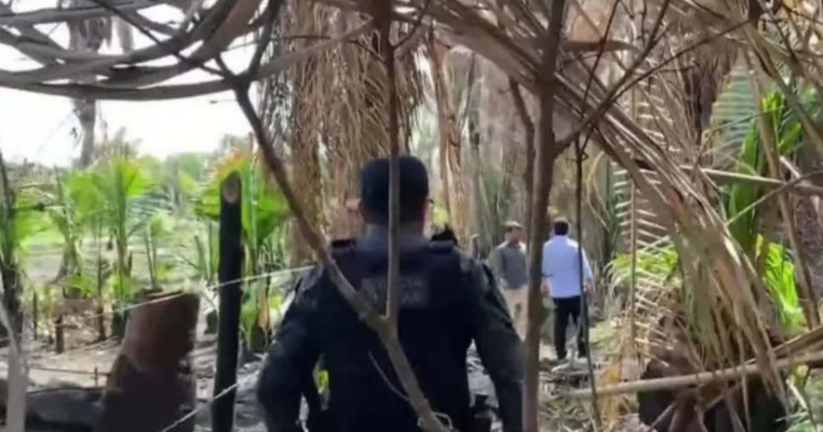 Primo explica como se perdeu das crianças desaparecidas