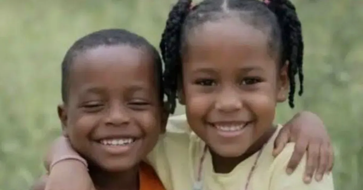 Cães farejadores indicam rastro em casa abandonada