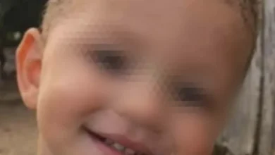 Forças de segurança utilizam drones e cães farejadores nas buscas por bebê em Eldorado do Carajás