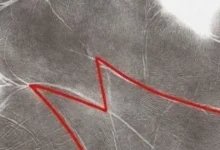 Letra “M” na palma da mão desperta curiosidade e é associada a interpretações populares