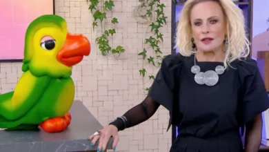 Ana Maria Braga comoveu o público