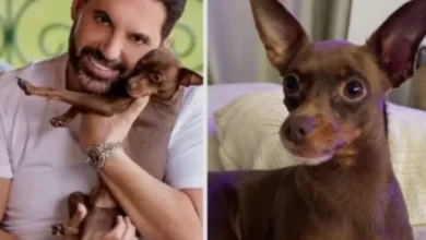 Após buscas intensas, pet de Edson é localizado sem vida