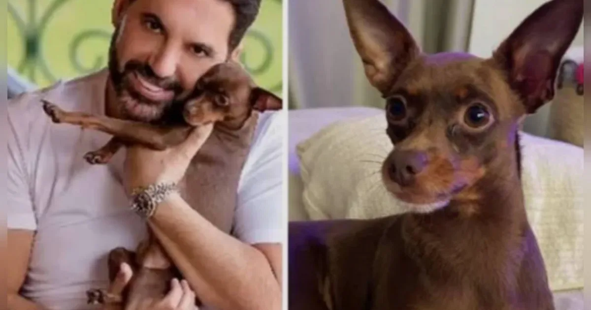 Após buscas intensas, pet de Edson é localizado sem vida