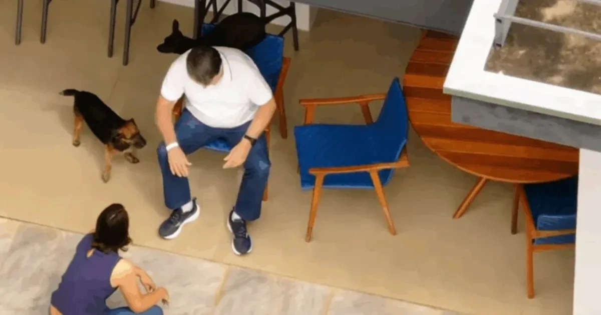 Ataque Animal: Cachorro de Bolsonaro morde PMs que fazem a guarda da prisão domiciliar