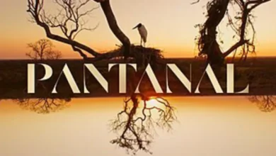 Ator de Além do Tempo e Pantanal faleceu aos 39 anos