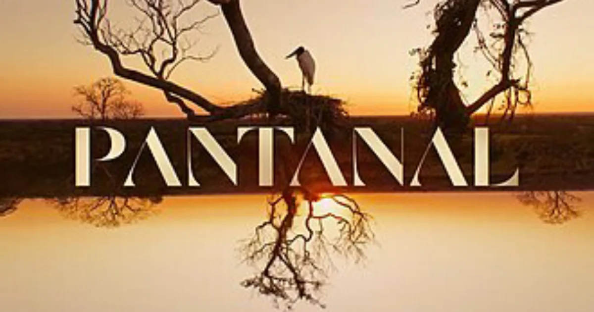 Ator de Além do Tempo e Pantanal faleceu aos 39 anos