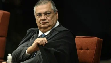 Dino diz que ver o STF como 'maior problema nacional' é 'erro histórico'