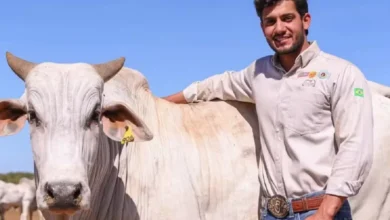 Empresário e produtor rural Guilherme Pedroza, de 31 anos, foi encontrado sem vida