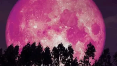 Fenômeno da Lua Rosa: tudo sobre a Lua cheia que brilha no céu hoje