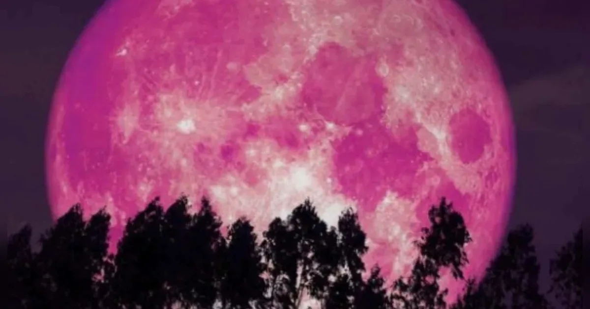 Fenômeno da Lua Rosa: tudo sobre a Lua cheia que brilha no céu hoje