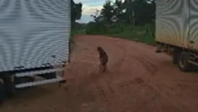 Idosa de 104 anos perde a vida após ser atingida por caminhão em frente de casa