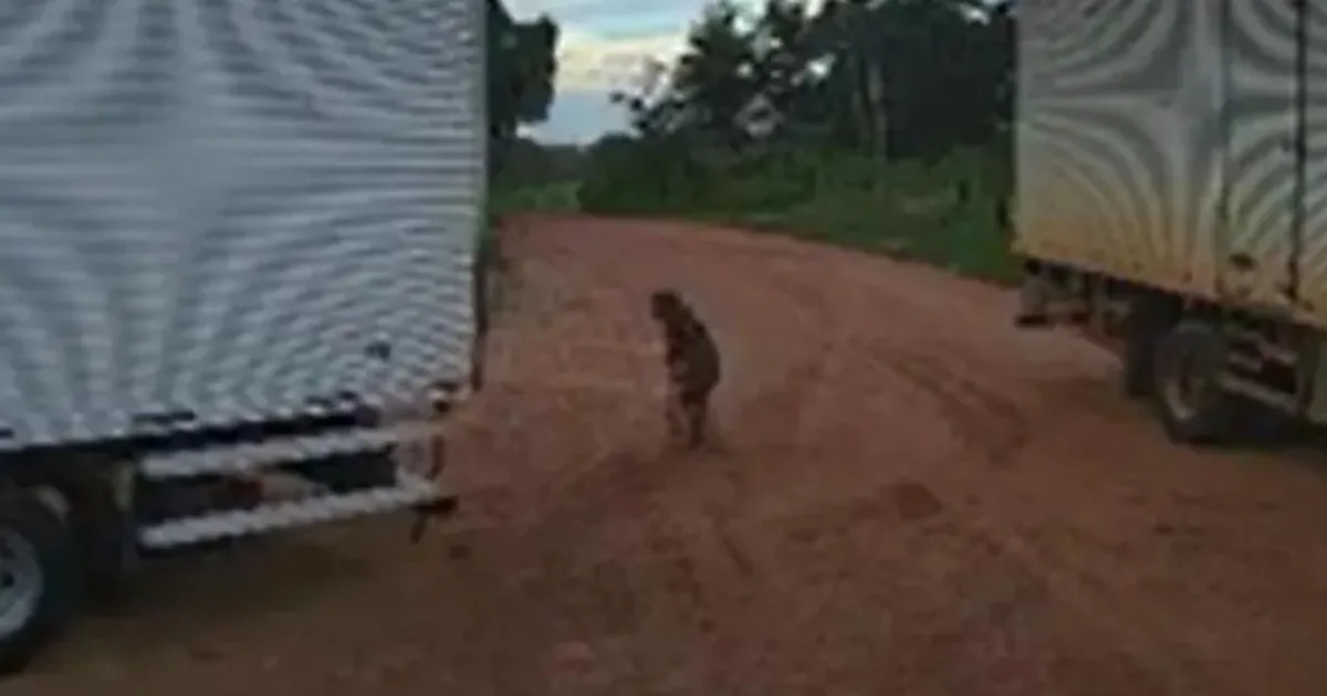 Idosa de 104 anos perde a vida após ser atingida por caminhão em frente de casa