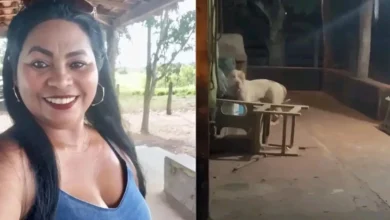 Mulher morre após ataque de pitbull dentro de casa