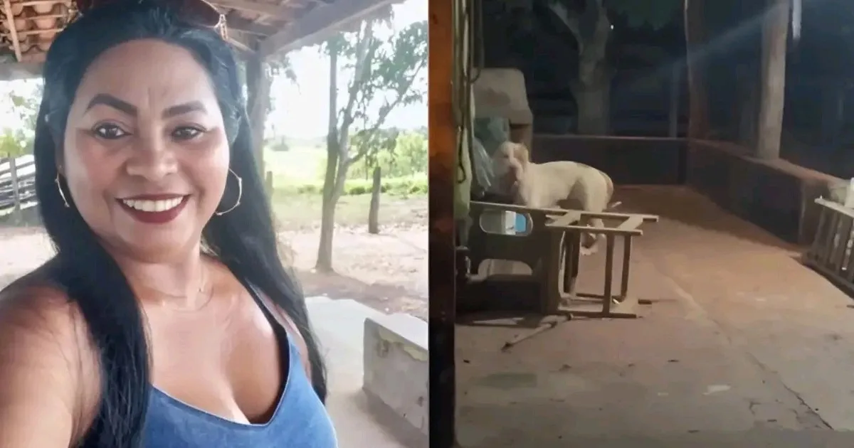 Mulher morre após ataque de pitbull dentro de casa
