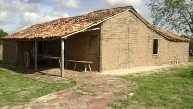 Pai e filho perdem a vida após tocarem em cerca de arame farpado