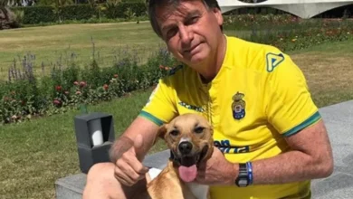 PMs são mordidos por cão caramelo de Bolsonaro