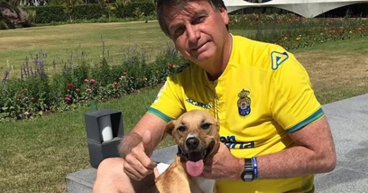 PMs são mordidos por cão caramelo de Bolsonaro