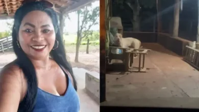 Tragédia: Mulher morre após ser atacada por cão Pitbull enquanto dava banho no animal