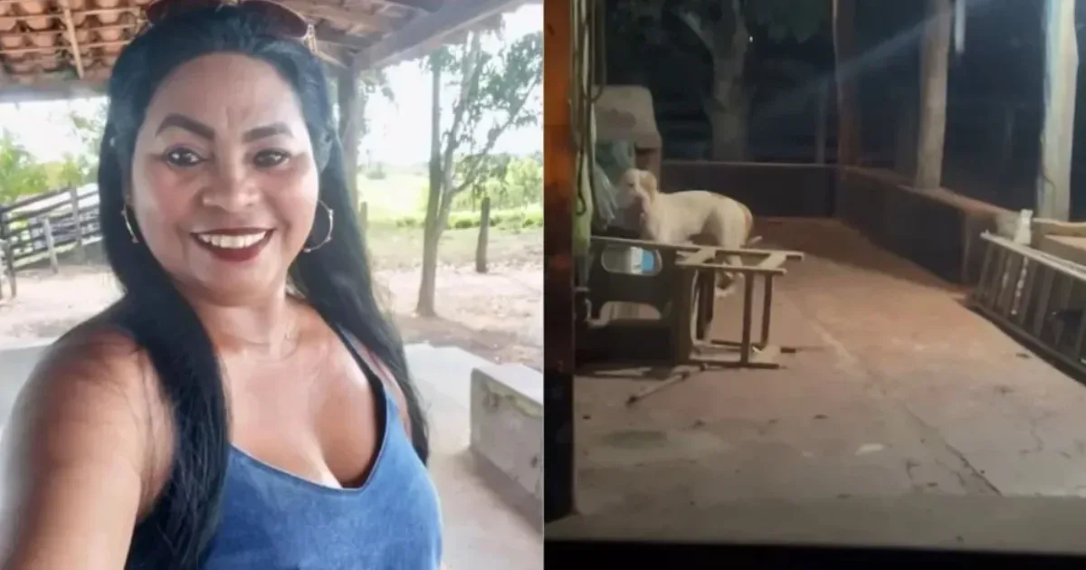 Tragédia: Mulher morre após ser atacada por cão Pitbull enquanto dava banho no animal
