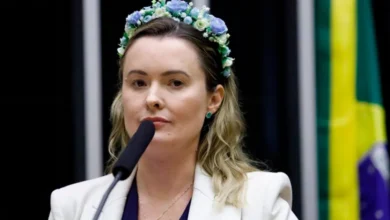 Deputada do PL recebe mais de 100 ataques nas redes após atuação na comissão do fim da 6x1