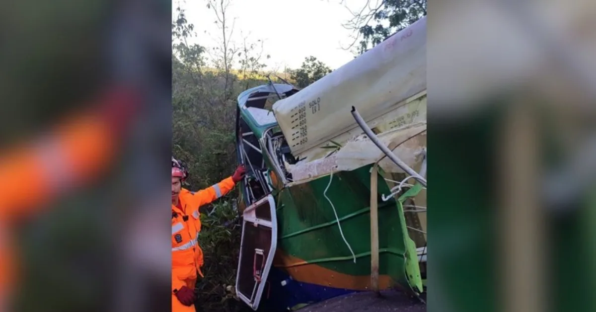 Piloto morre após queda de avião em lavoura de cana