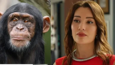 Atriz de Coração de Mãe que faleceu foi mordida por um macaco