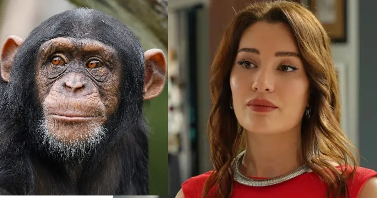 Atriz de Coração de Mãe que faleceu foi mordida por um macaco