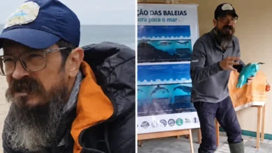 Corpo de oceanógrafo é encontrado quase oito meses após desaparecimento em Florianópolis