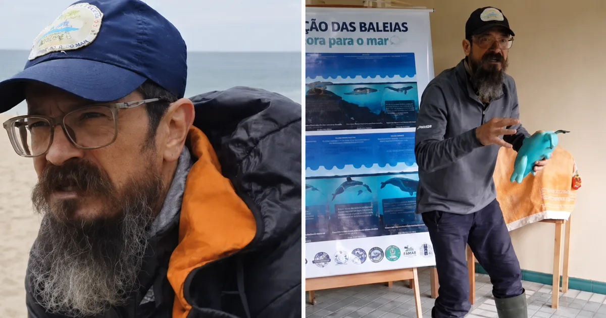 Corpo de oceanógrafo é encontrado quase oito meses após desaparecimento em Florianópolis