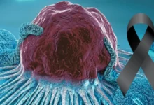 Esse alimento que você consome diariamente é altamente cancerígeno