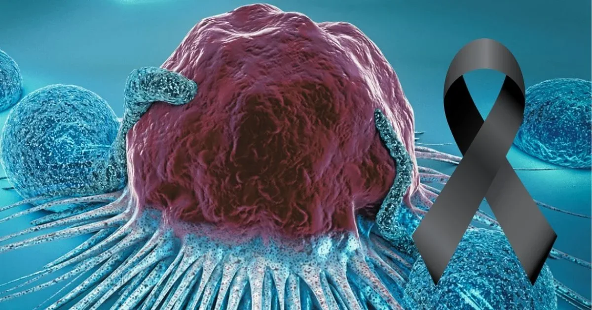 Esse alimento que você consome diariamente é altamente cancerígeno