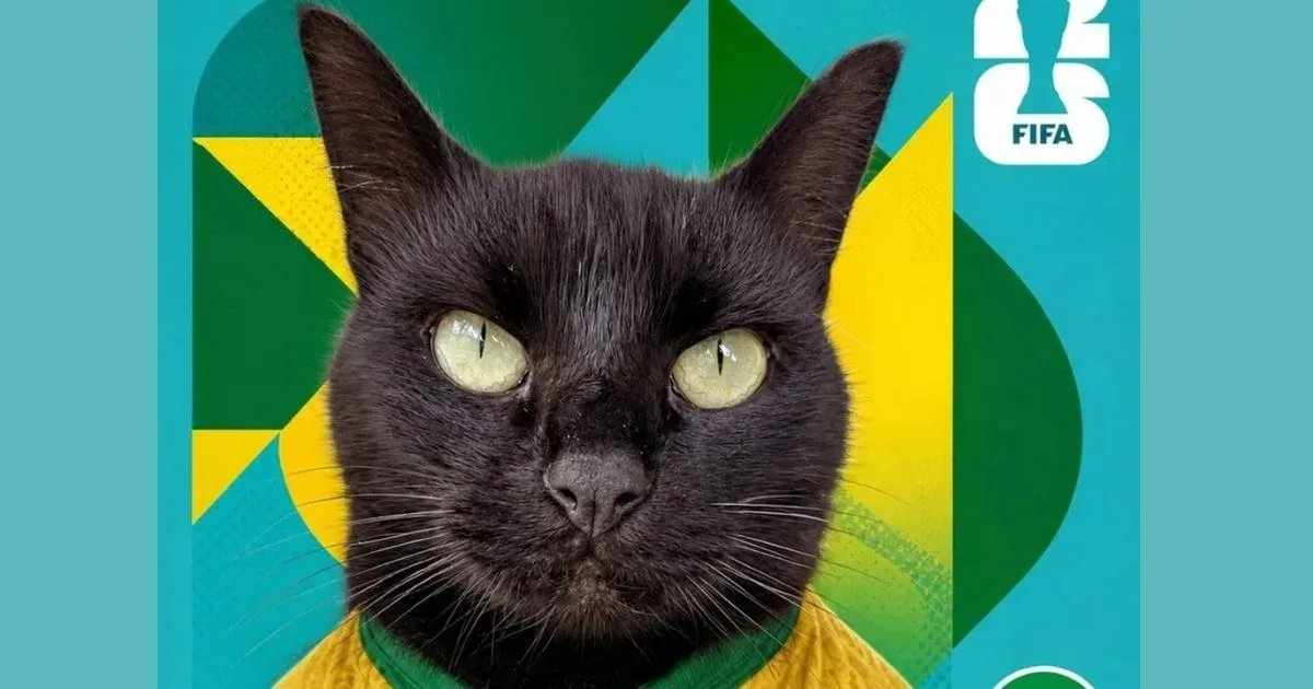 Gato vidente faz nova previsão do jogo do Brasil contra o Japão