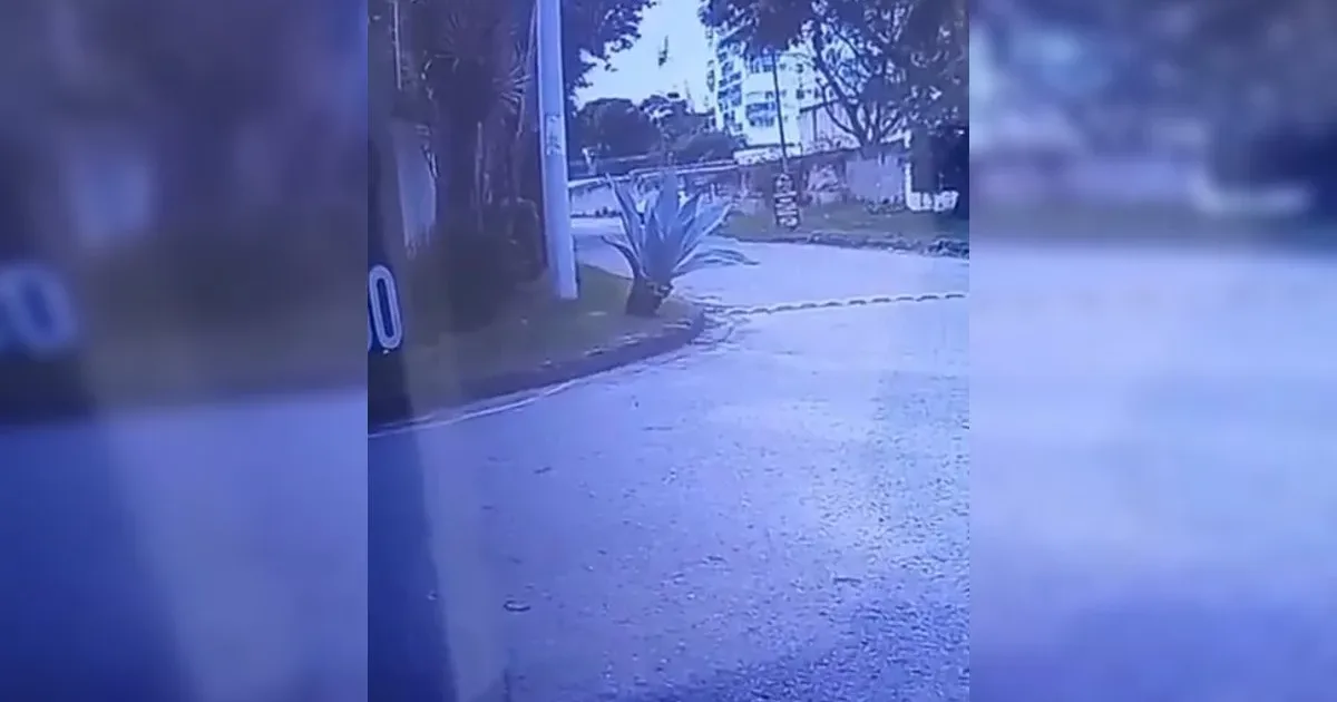 Imagens mostram momento de queda de helicóptero no Rio de Janeiro