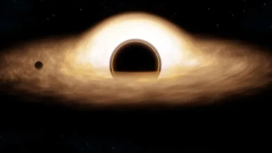 James Webb revela pistas sobre misteriosas estrelas com buracos negros no início do Universo