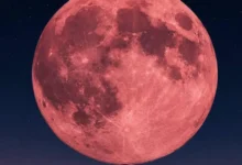 LLua de Morango: fenômeno astronômico será observado na segunda (29/6)