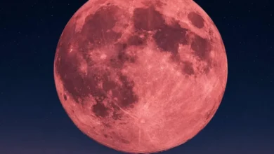 LLua de Morango: fenômeno astronômico será observado na segunda (29/6)