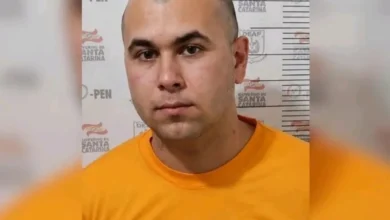 Motorista de caminhão que bateu de frente com van nega que tenha invadido contramão na BR-116