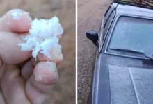 O frio chegou e as dores também? Entenda o que acontece com as articulações