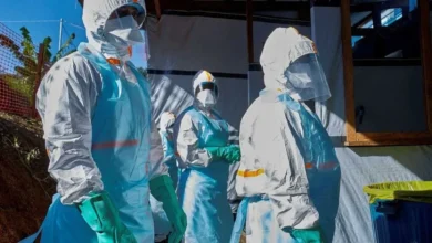 Surto de Ebola no Congo preocupa especialistas