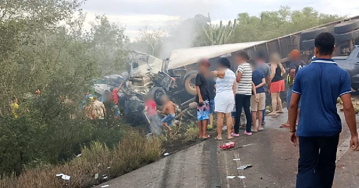 Tragédia na BR-116: 16 membros de uma mesma família morrem