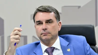 Após fala de Flávio, PP bate o martelo sobre Tereza Cristina