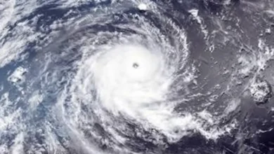 Brasil será castigado pelo El Niño nos próximos dias com calor extremo e tufões