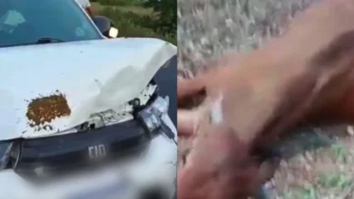 Filho de Neto Araújo sofre acidente a caminho do velório do cantor