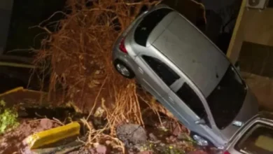 Forte temporal causa estragos em Ribeirão Preto e mobiliza equipes de emergência