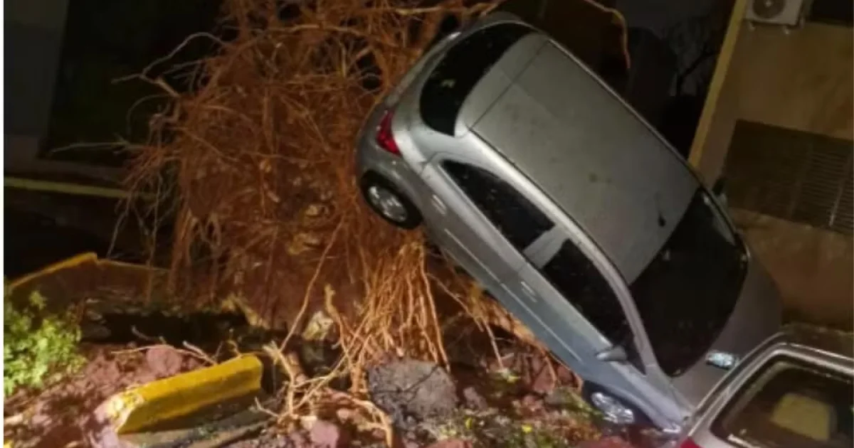 Forte temporal causa estragos em Ribeirão Preto e mobiliza equipes de emergência