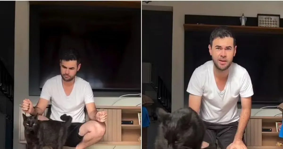 Gato vidente faz sua previsão para o jogo do Brasil contra a Noruega