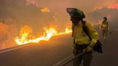 Incêndio tira a vida de ao menos 12 pessoas e centenas de bombeiros estão no chamado
