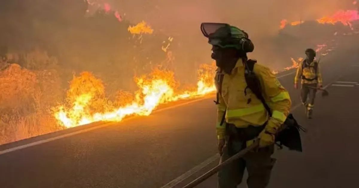 Incêndio tira a vida de ao menos 12 pessoas e centenas de bombeiros estão no chamado
