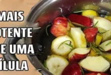 Maçã com alecrim: Prepare esse chá sromático com poucos ingredientes e surpreenda-se com o sabor